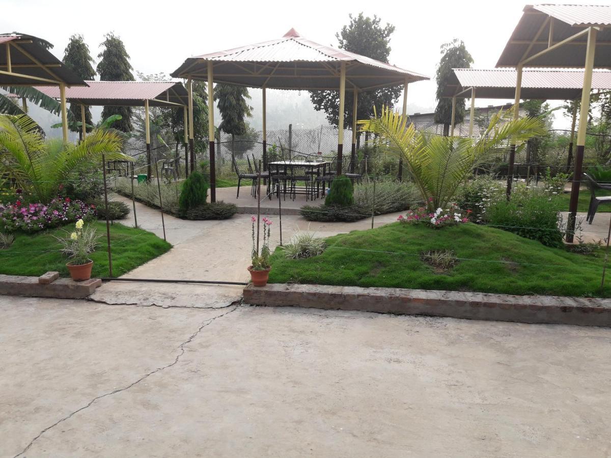 Dhading Trishuli Beach Resort מראה חיצוני תמונה